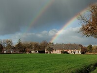 IMG_20241117_122724734