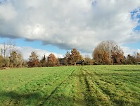 IMG_20241117_121956923