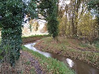 IMG_20241117_121027955