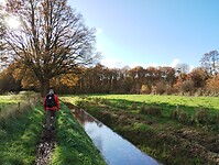 IMG_20241117_120829625