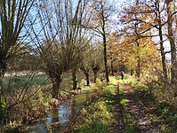 IMG_20241117_115539844