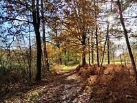 IMG_20241117_115034864_HDR