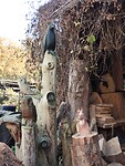 IMG_20241117_114622911