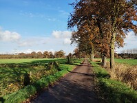 IMG_20241117_104713394