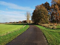 IMG_20241117_103514725