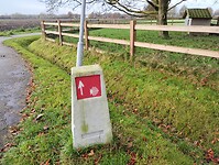 IMG_20241117_095742644