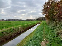 IMG_20241116_141046973_HDR