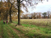 IMG_20241116_135654175