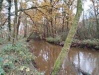 IMG_20241116_133709402