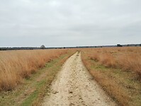 IMG_20241116_130406900