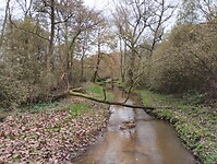 IMG_20241116_122658690