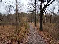 IMG_20241116_122429805