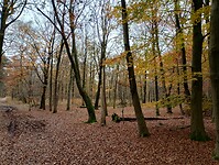 IMG_20241116_120347093_HDR