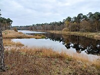 IMG_20241116_113121343_HDR