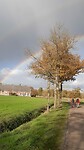 IMG-20241117-WA0008