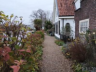 IMG_20241130_153514411