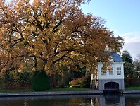 IMG_20241130_140203385_HDR