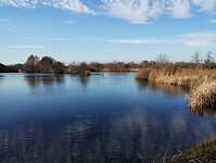 IMG_20241130_122738934