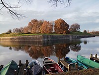 IMG_20241201_152922194