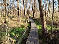 IMG_20241201_142311555_HDR