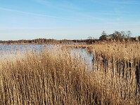 IMG_20241201_135830246