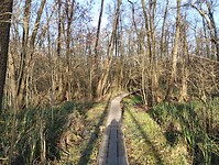 IMG_20241201_135447688