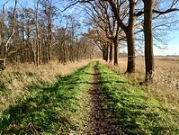 IMG_20241201_135107934_HDR