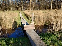 IMG_20241201_135038807_HDR