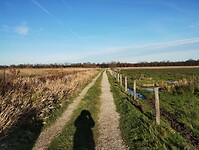 IMG_20241201_132852027