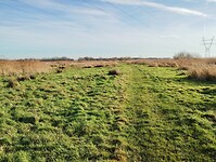 IMG_20241201_124958572