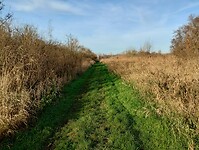 IMG_20241201_105554003_HDR