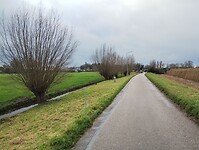 IMG_20241202_125418403
