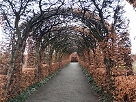 IMG_20241202_113716117