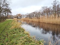 IMG_20241202_104735680