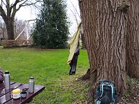 IMG_20241202_101906234