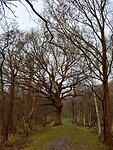 IMG_20241202_100045278_HDR