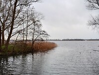 IMG_20241202_095647924_HDR