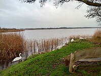 IMG_20241202_093600246_HDR