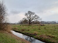 IMG_20241202_091718355_HDR