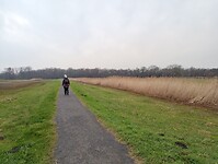 IMG_20241202_091158425