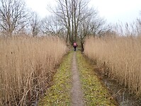 IMG_20241214_135535773