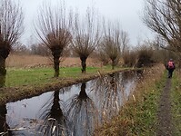 IMG_20241214_135414081