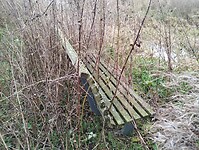 IMG_20241214_122545858