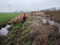 IMG_20241214_121819539