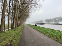IMG_20241214_112607979