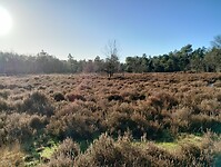 IMG_20250102_120652465_HDR