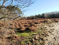 IMG_20250102_120640774