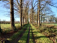 IMG_20250102_104341054_HDR