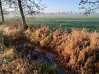 IMG_20250102_101141781_HDR