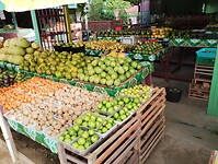 IMG_20250222_090700077